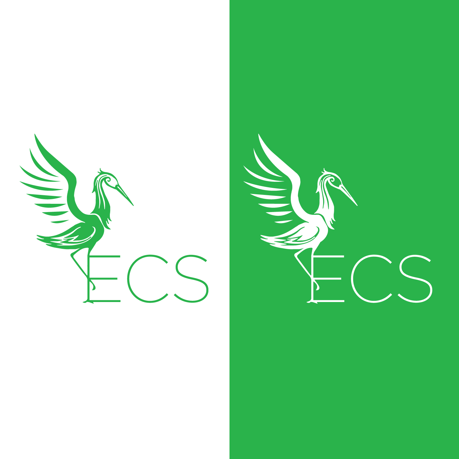 Diseño de Logo por EnaGraph para ECS | Diseño #30987820