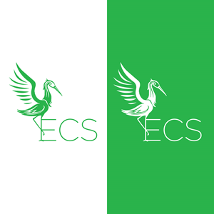 Logo Design by EnaGraph for ECS | Design: #30987820