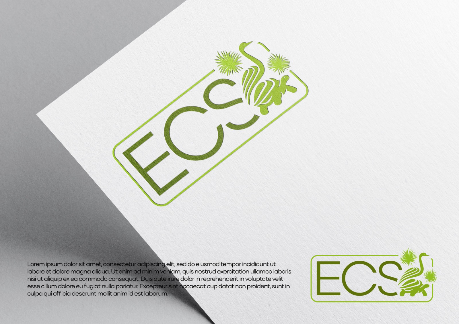Logo Design by grrssn for ECS | Design #30994901