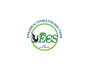 Logo Design by Ansh Design for ECS | Design: #30982289
