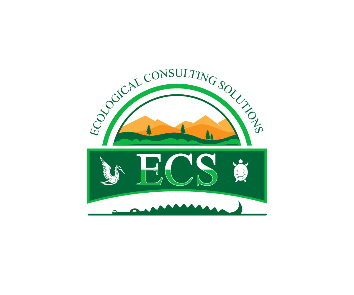 Logo Design by Ansh Design for ECS | Design #30982293