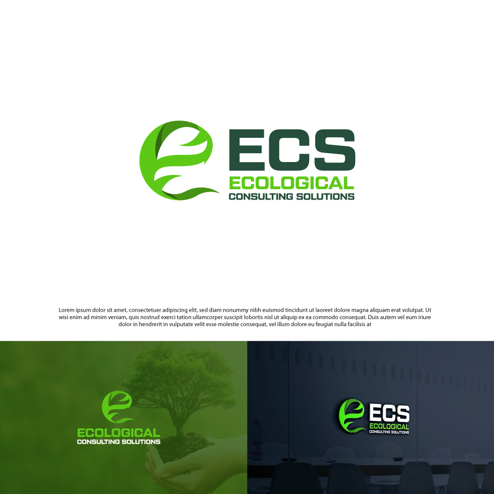 Diseño de Logo por Tan-D para ECS | Diseño #30988484