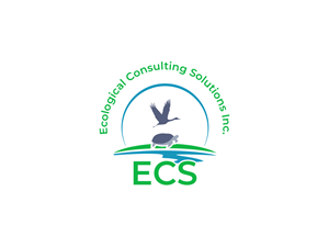 Logo Design by BNdesigner for ECS | Design: #31008592