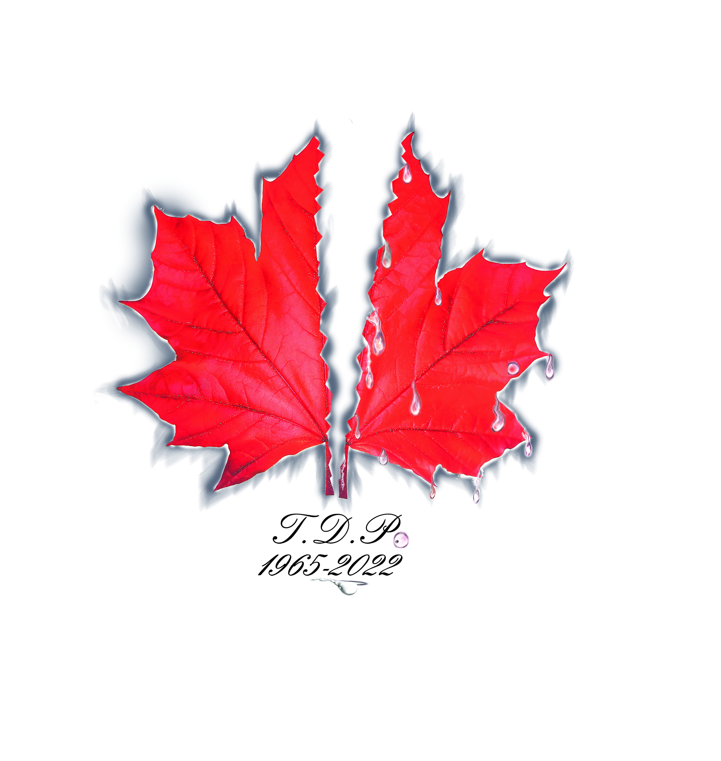 Tattoo Design by Jamal 12 for this project | Design #30987443