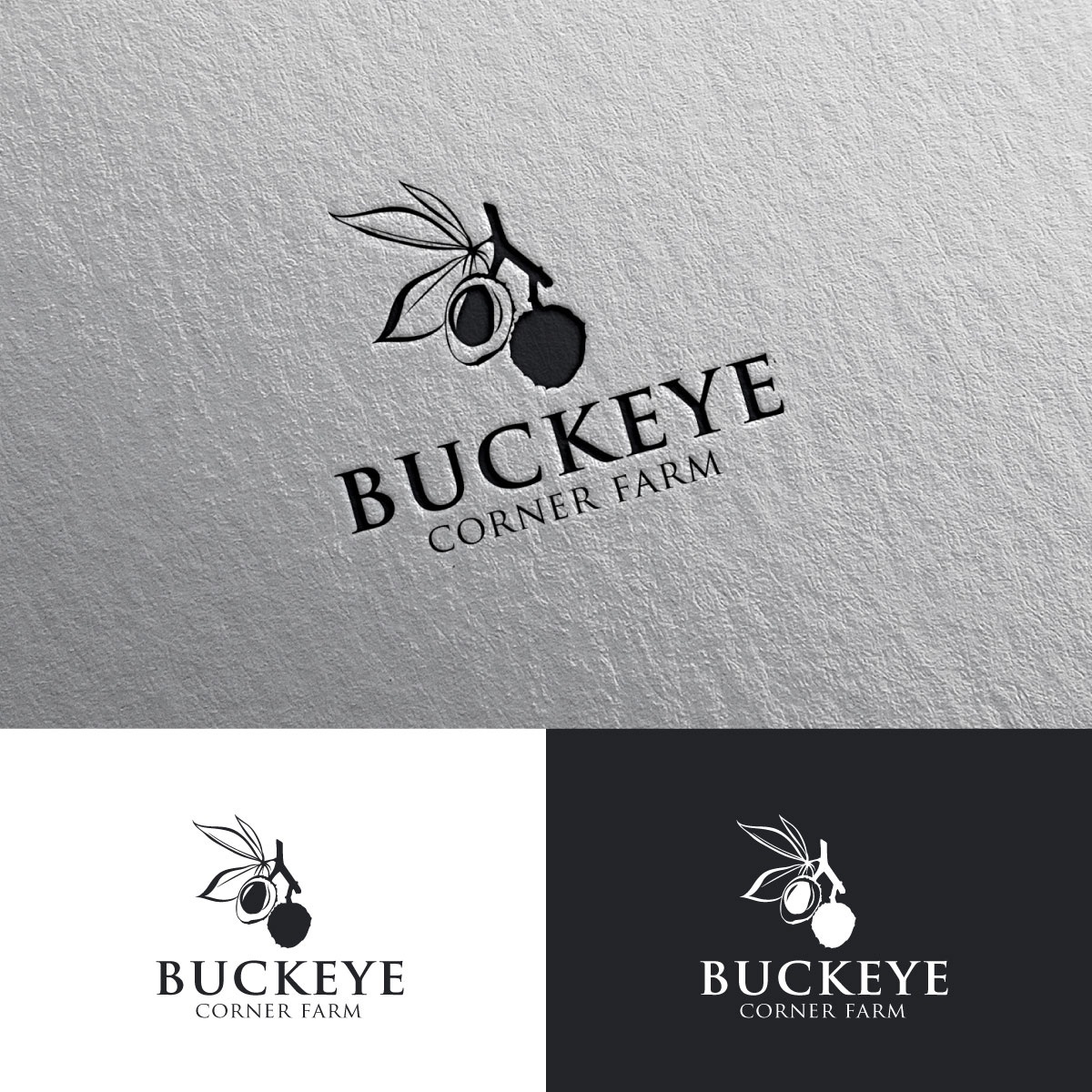 Logo Design by chris Ray for this project | Design #30979868