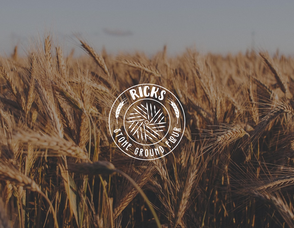 Diseño de Logo por Sheky para este proyecto | Diseño #30998368