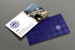 Design de Carte de Visite par DesignShout pour ce projet | Design : #30991047