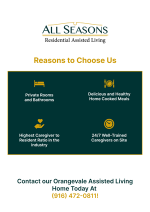 Brochure Design by NZ Creatives for this project | Design: #31040937