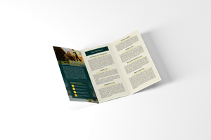 Brochure Design by barinix for this project | Design: #31037038