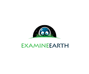 Logo Design by Neil for this project | Design: #3094888