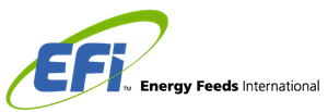 Logo Design by Mozaik Arte for this project | Design: #31019153