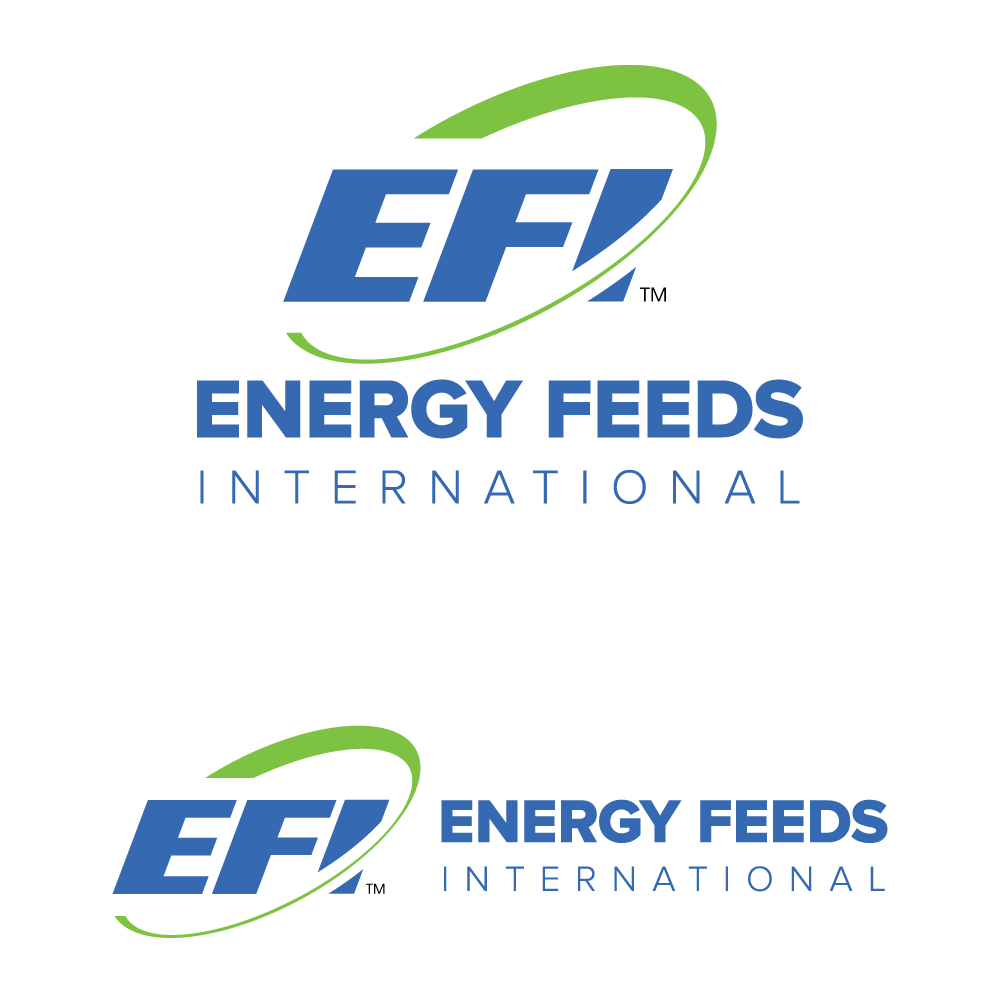 Diseño de Logo por H4R5Z para este proyecto | Diseño #31015008