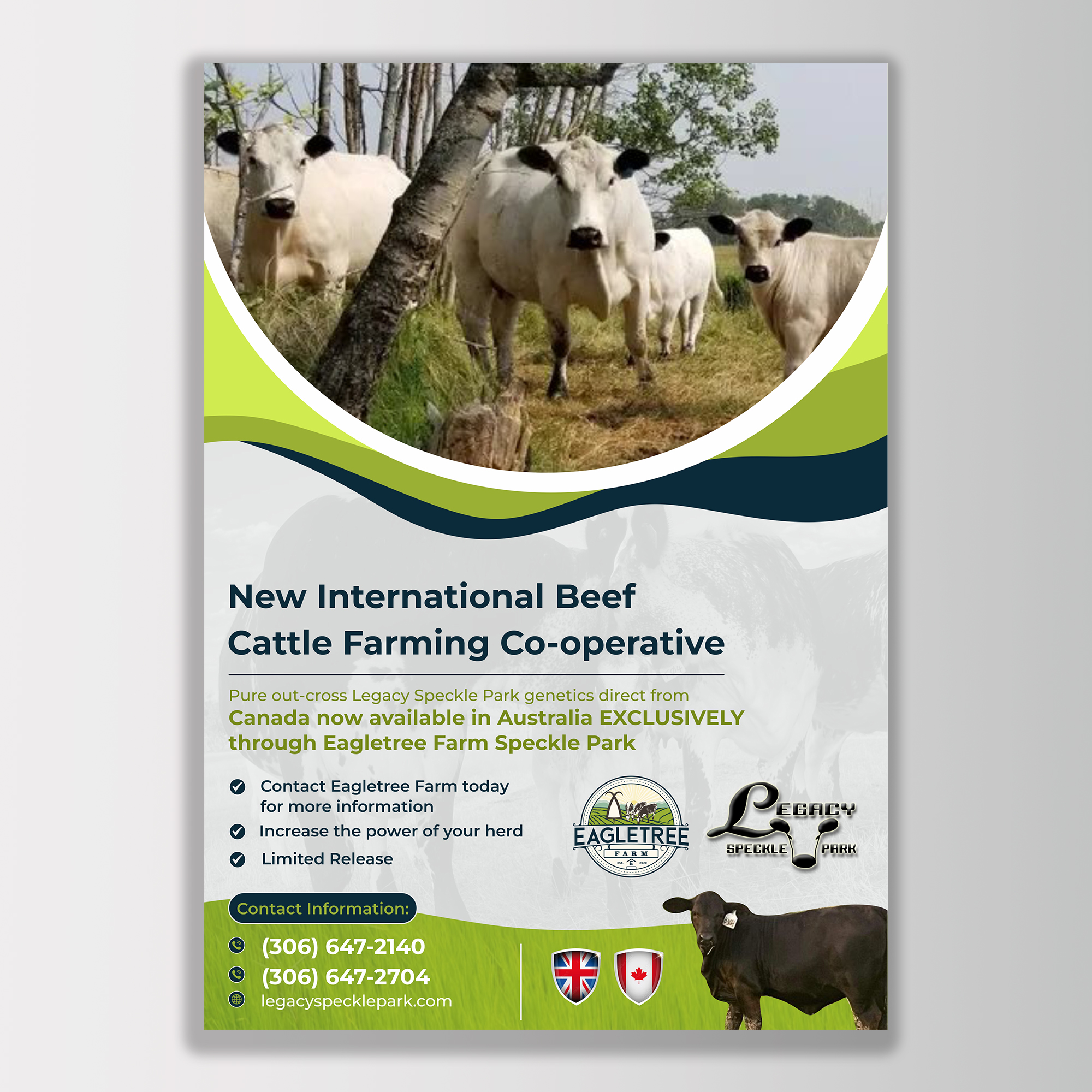 Flyer Design by KreativeMadz for Eagletree Farm | Design #31009659