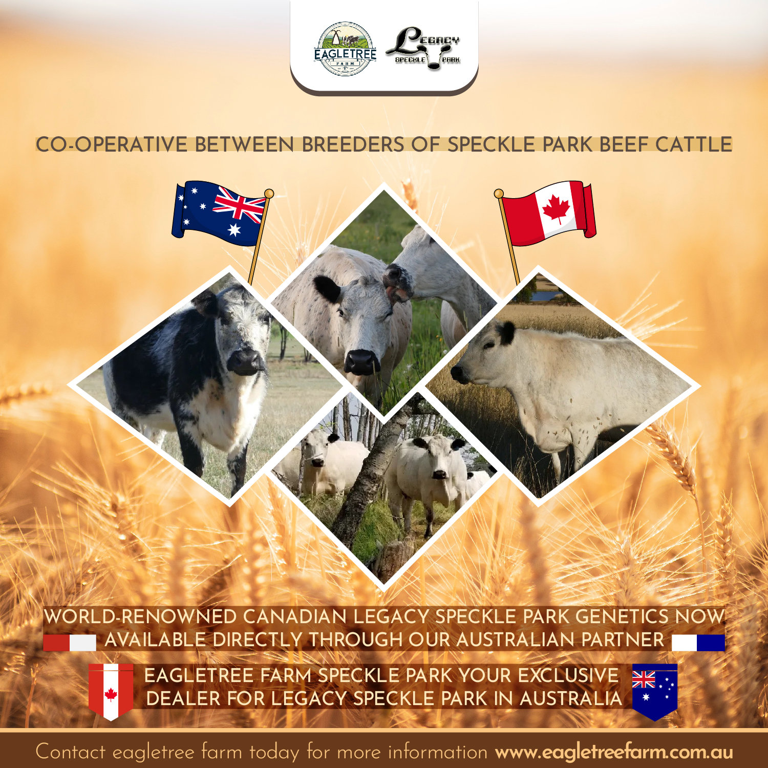 Flyer Design by SWIHIL for Eagletree Farm | Design #31031508