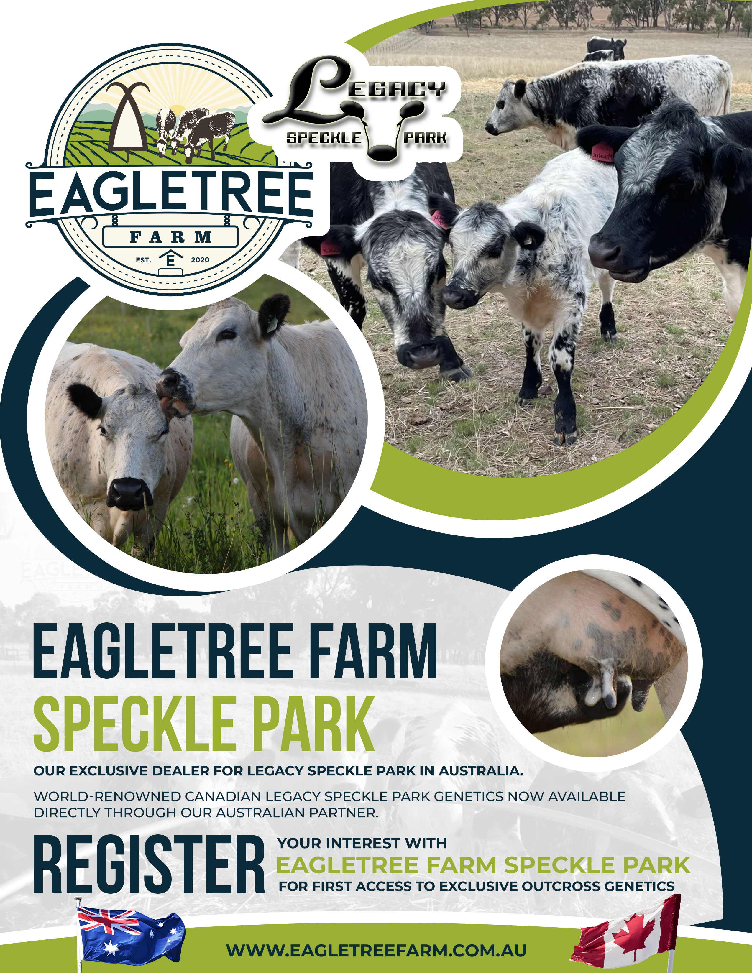Flyer Design by Modan Mohan Mohini for Eagletree Farm | Design #31045855