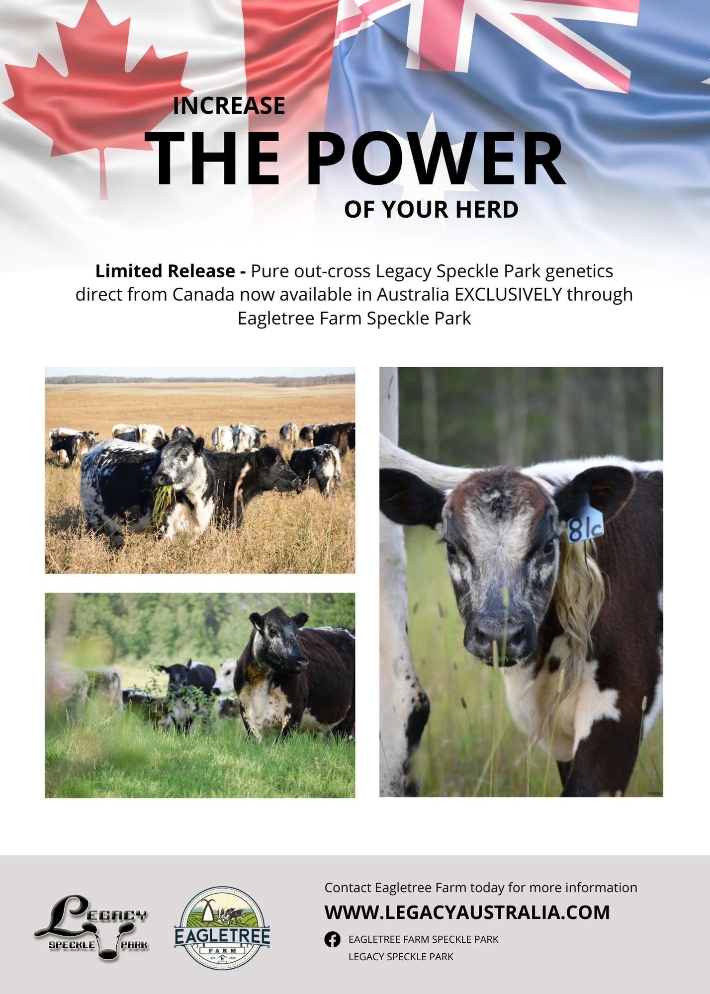 Flyer Design by Botjen for Eagletree Farm | Design #31010579