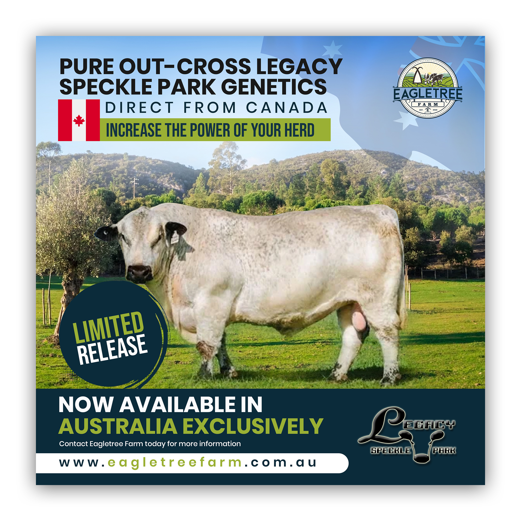 Flyer Design by debdesign for Eagletree Farm | Design #31010714