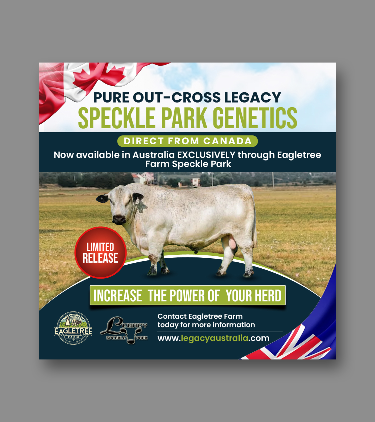 Flyer Design by debdesign for Eagletree Farm | Design #31011497