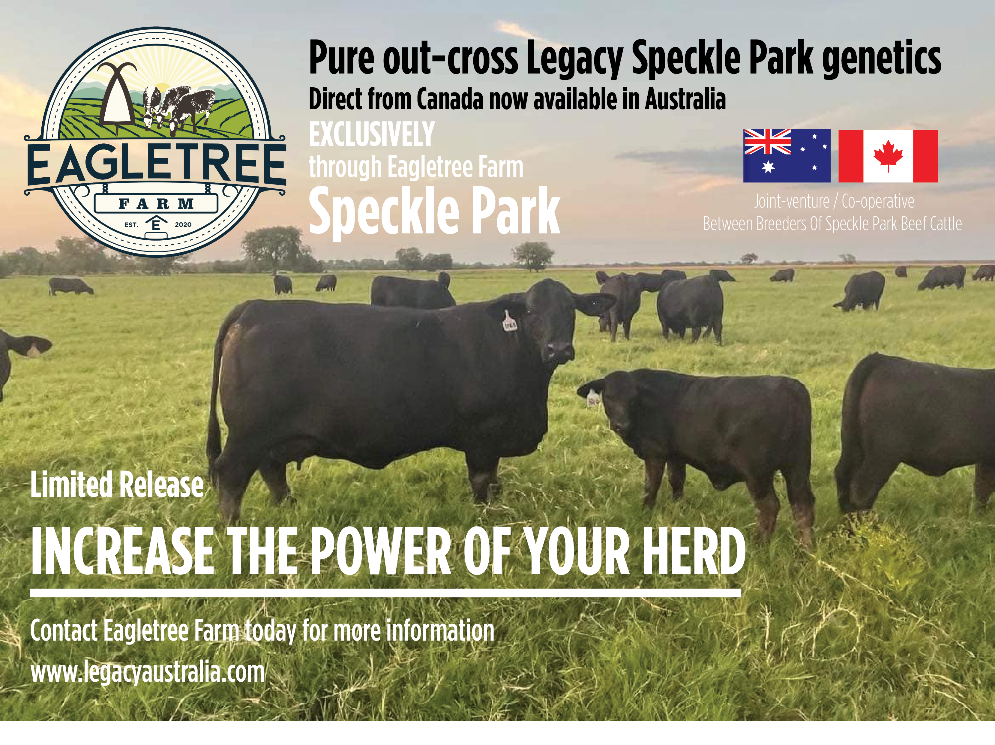 Flyer Design by Rupok 3 for Eagletree Farm | Design #31007209