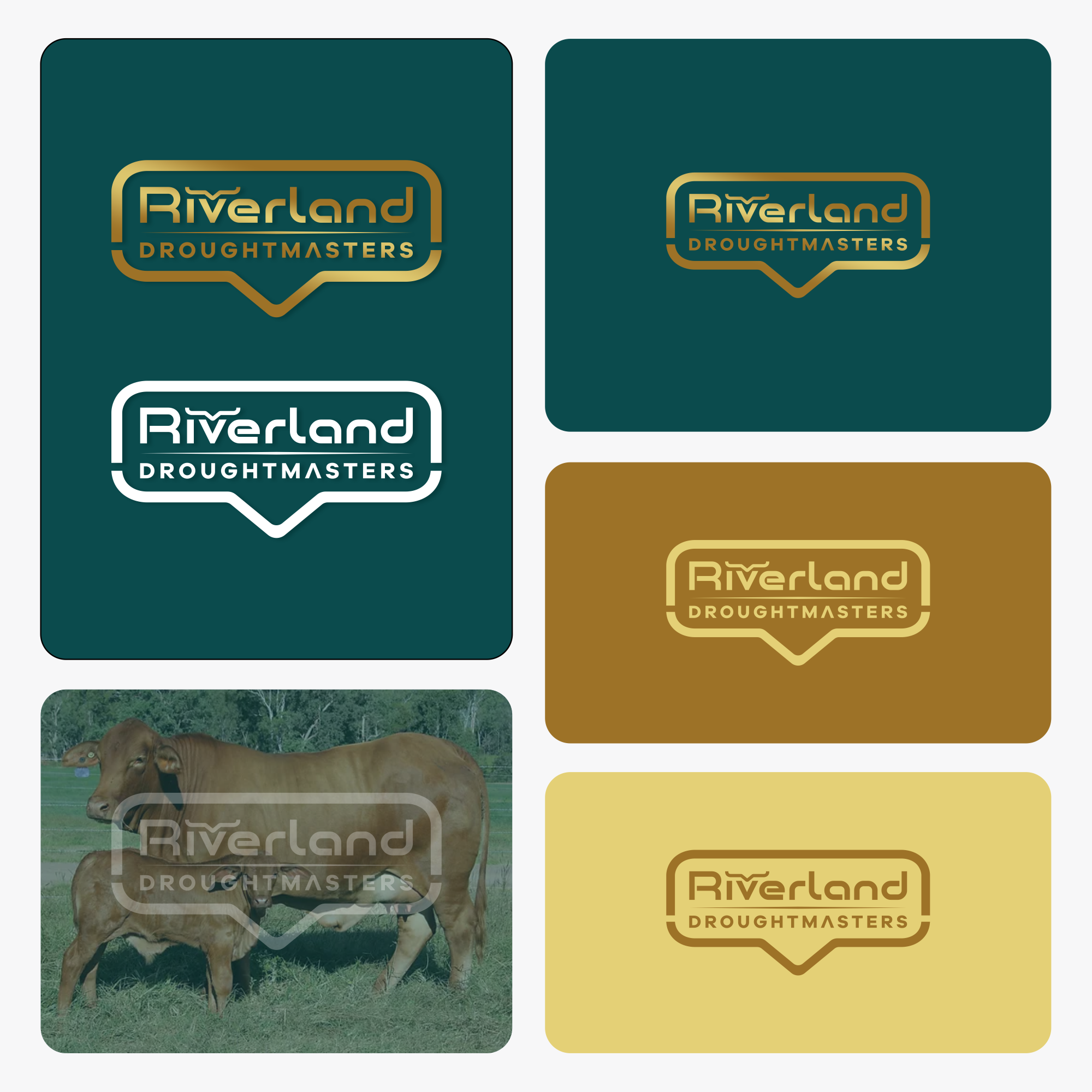 Logo Design by kasva1 for this project | Design #31009133