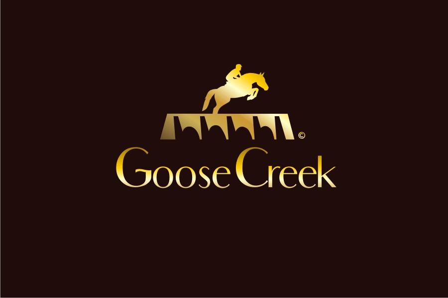 Logo Design by iamrady for this project | Design #31082341