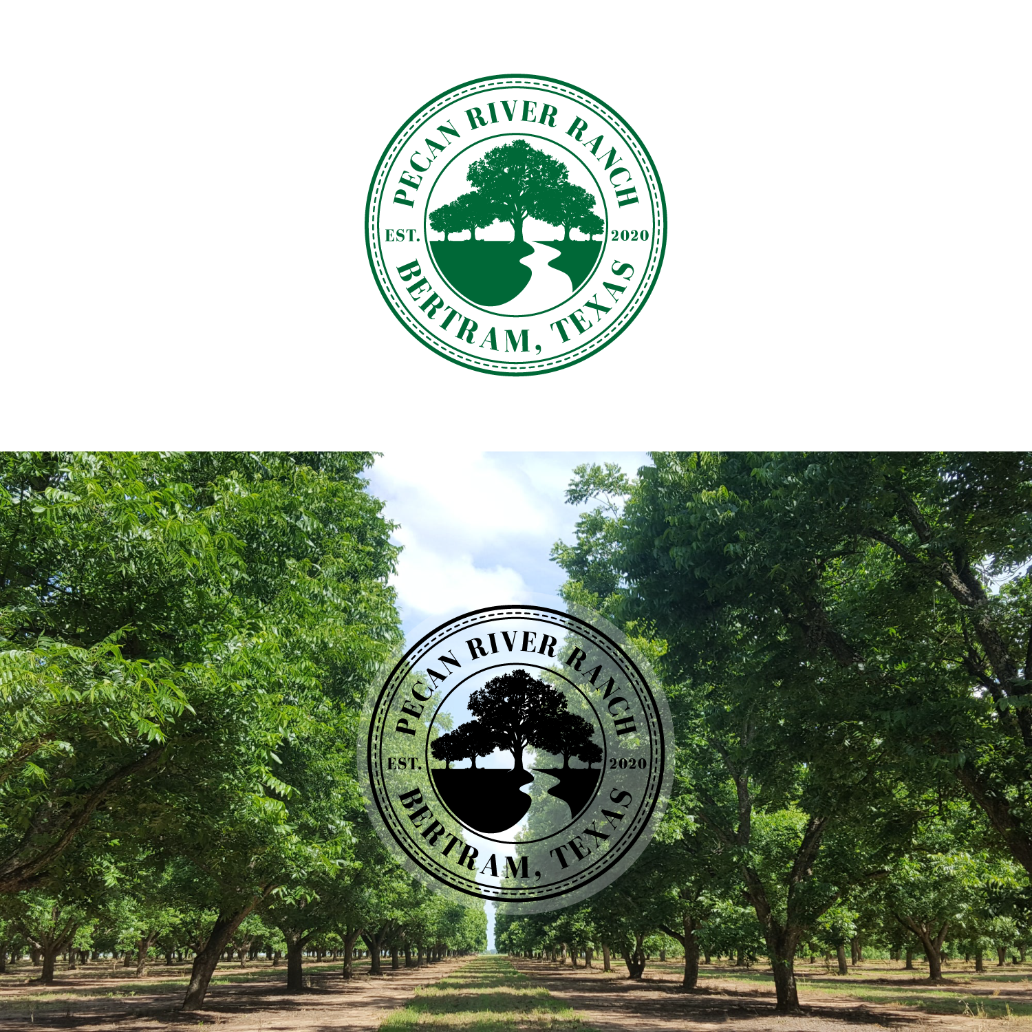 Diseño de Logo por TTNN para este proyecto | Diseño #31060720