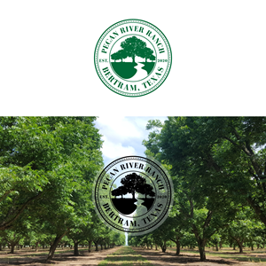 Diseño de Logo por TTNN para este proyecto | Diseño: #31060720