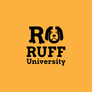 Logo Design by Jhannel55