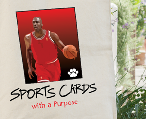 Logo Design by Pint & Promotional Projects for Sports Cards with a Purpose | Design: #31071587