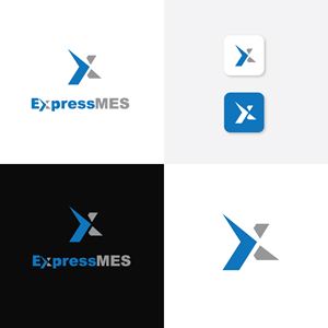Logo Design by Design_Lenni for Enhanced Information Solutions | Design #31081221