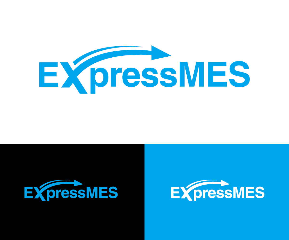 Logo Design by RaKu 2 for Enhanced Information Solutions | Design #31092077