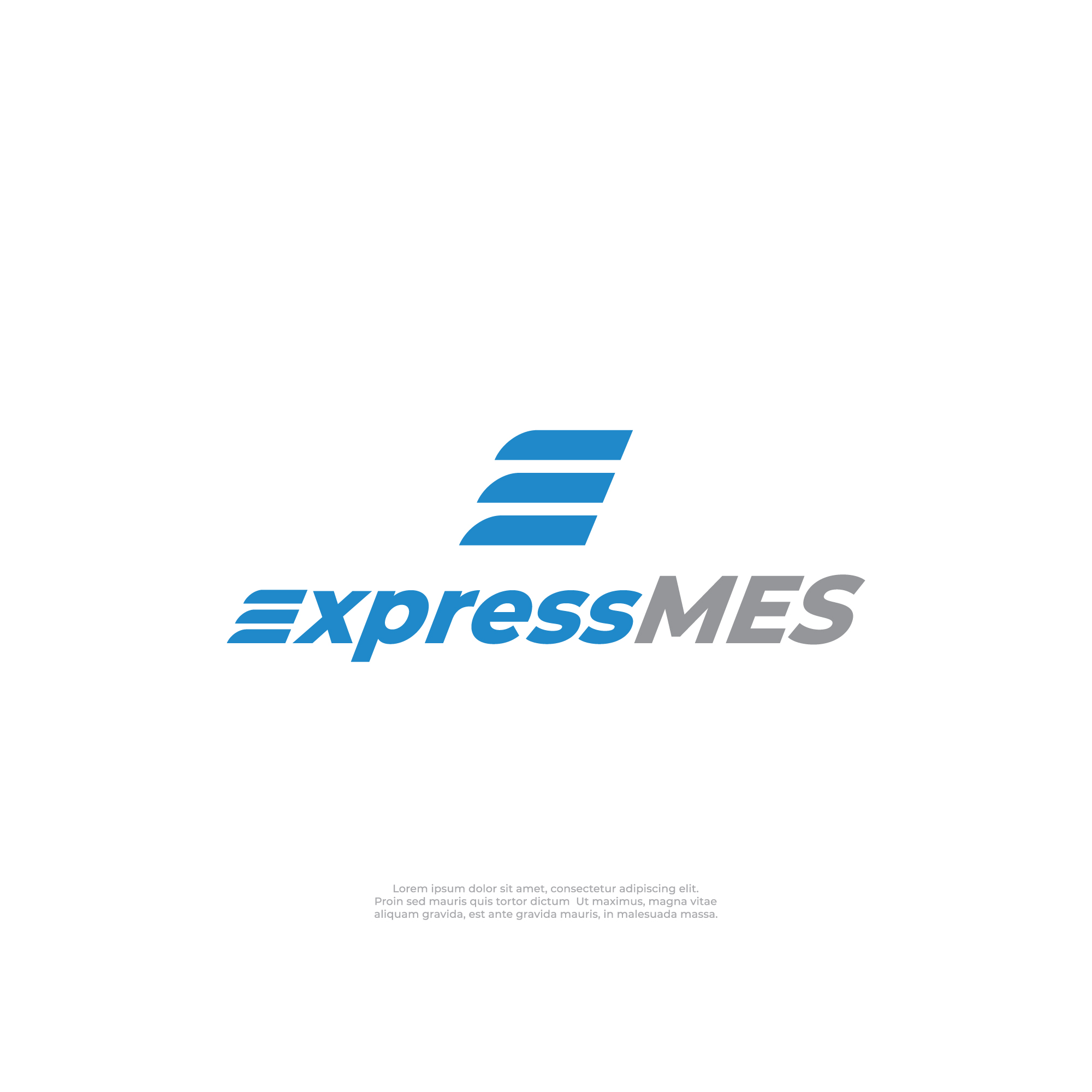 Logo Design by dt_nugraha for Enhanced Information Solutions | Design #31075760