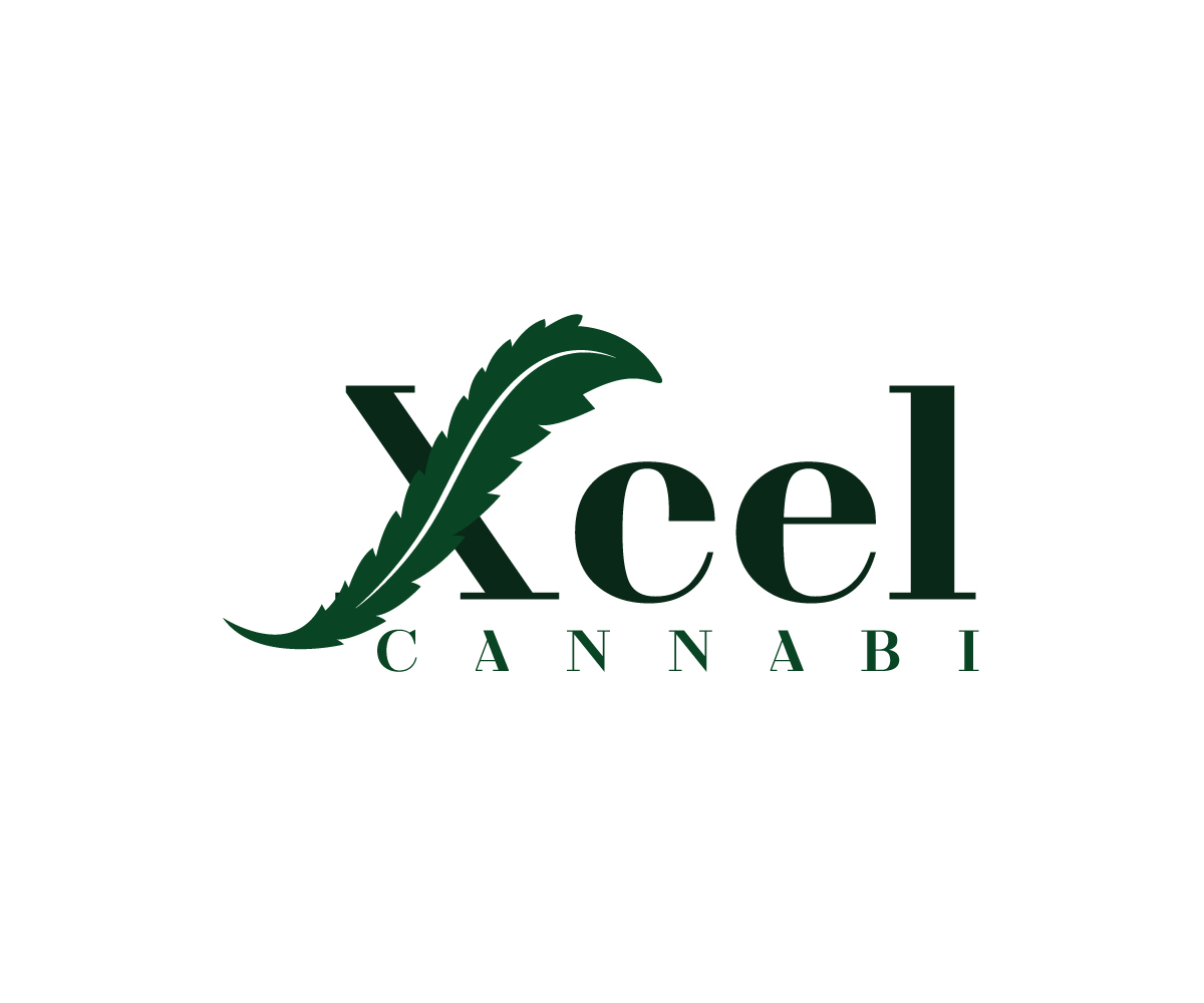 Logo Design by Paint-Tools for this project | Design #31044553