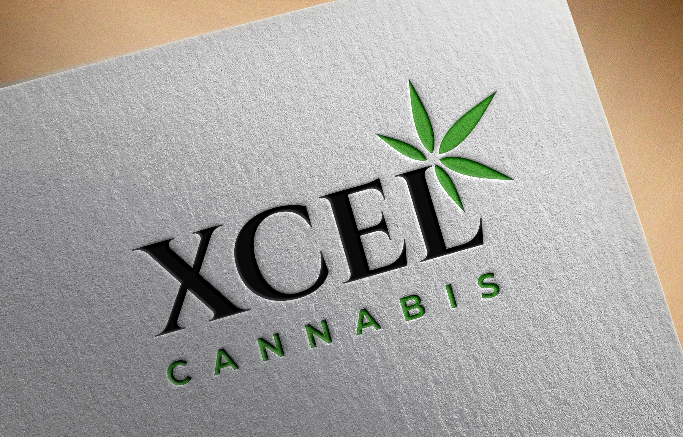 Diseño de Logo por Graphixpointt para este proyecto | Diseño #31045891