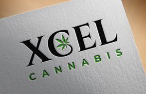 Logo-Design von Graphixpointt für dieses Projekt | Design: #31045893