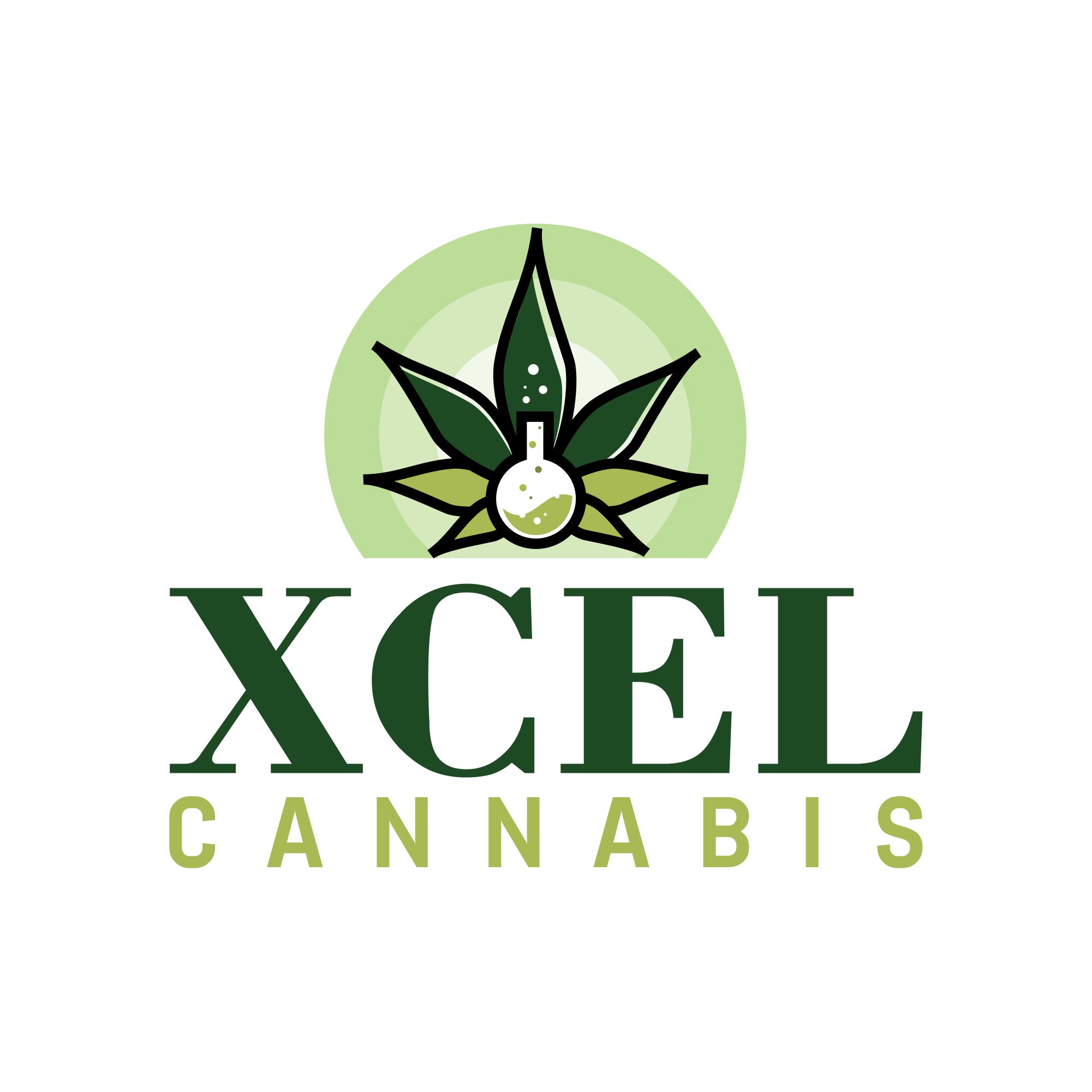 Logo Design by creative.bugs for this project | Design #31043597