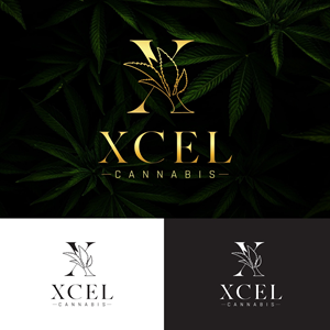 Logo Design by Sobisss