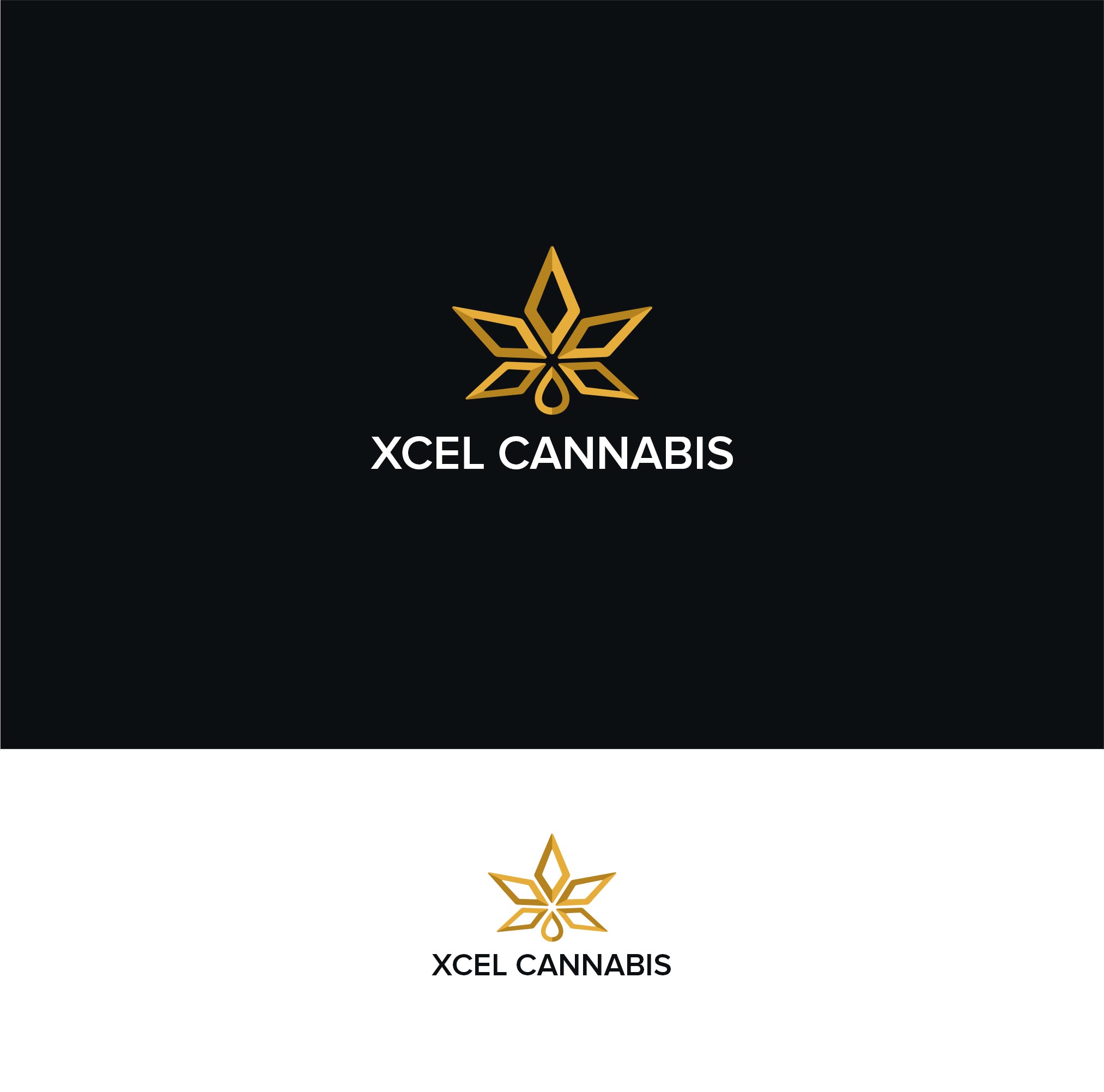 Logo Design by logopondss for this project | Design #31091297