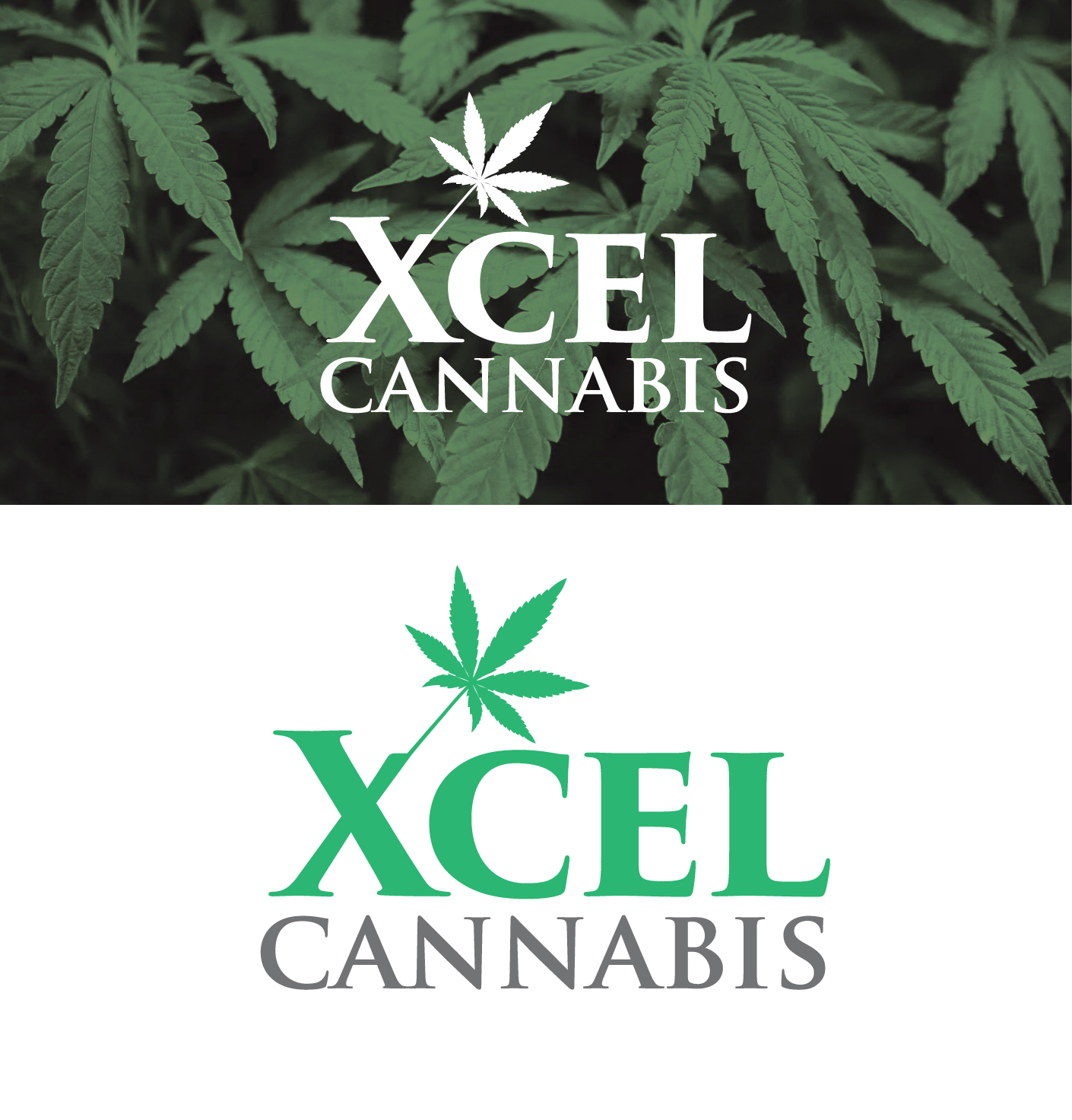 Logo-Design von M Habib für dieses Projekt | Design #31053448