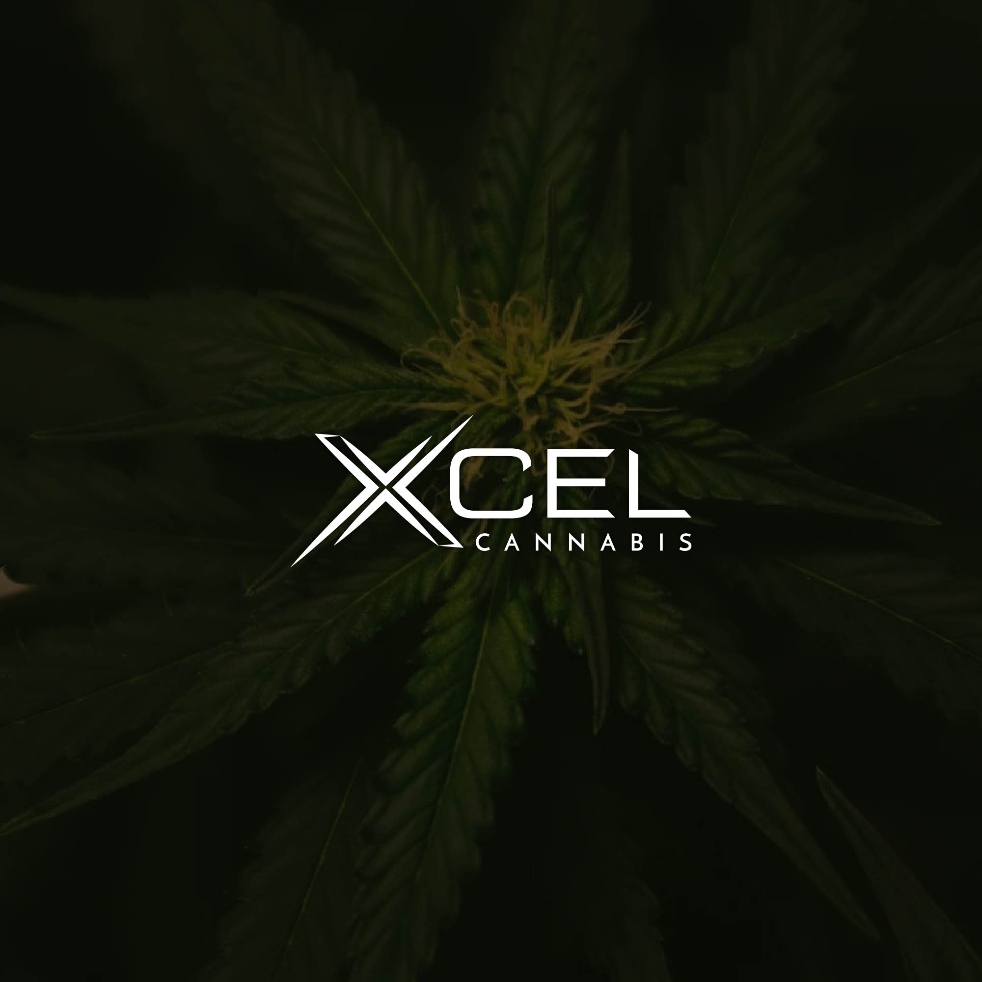 Design de Logo par kaushal 05 pour ce projet | Design #31044959