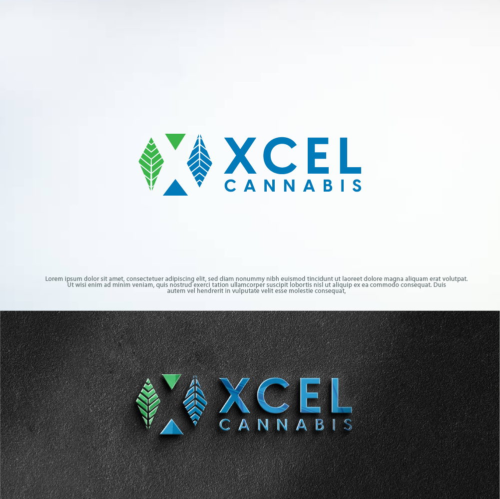 Logo Design by Tan-D for this project | Design #31044193