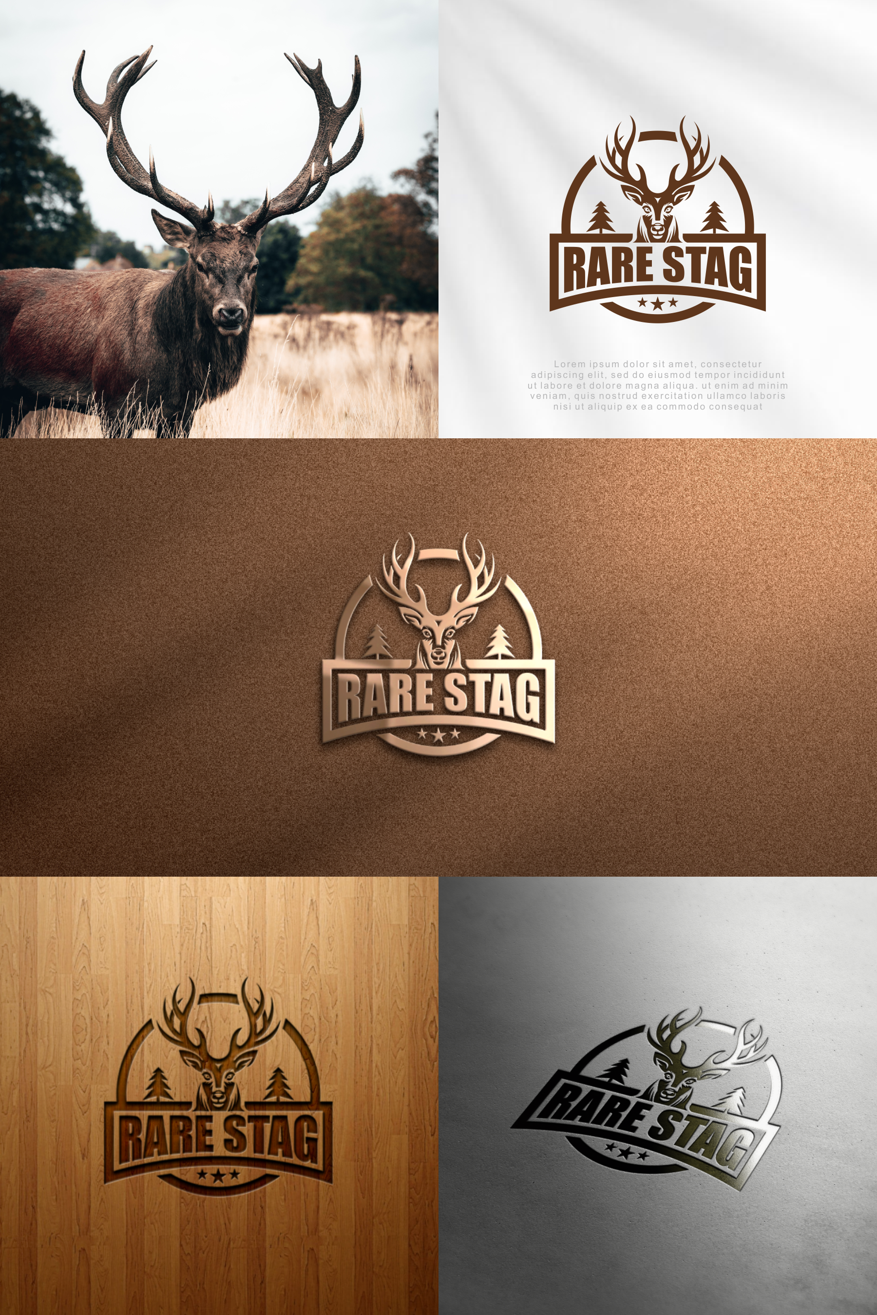 Logo Design by sabina aiko for this project | Design #31049933