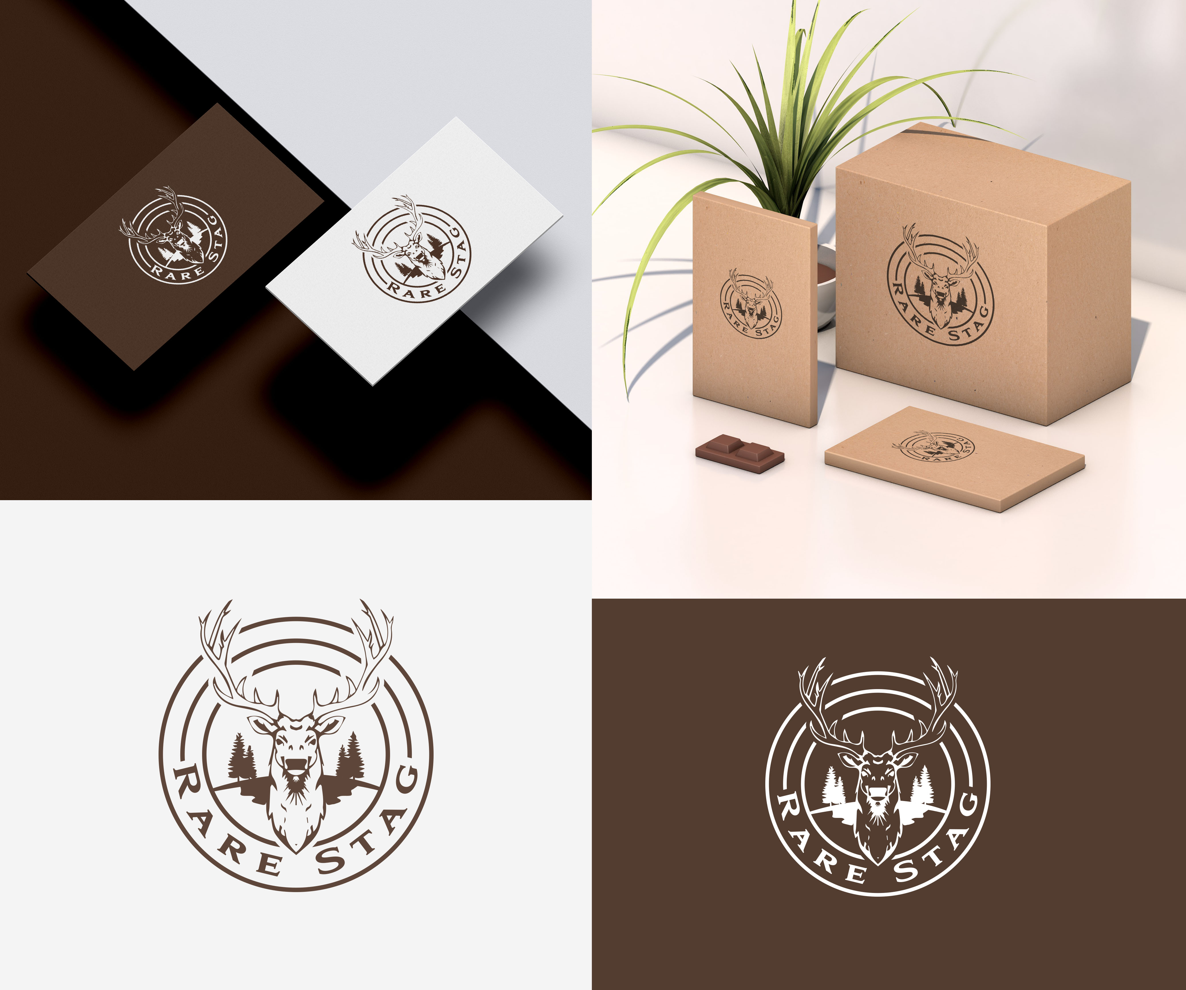 Logo Design by aexoagency for this project | Design #31048224