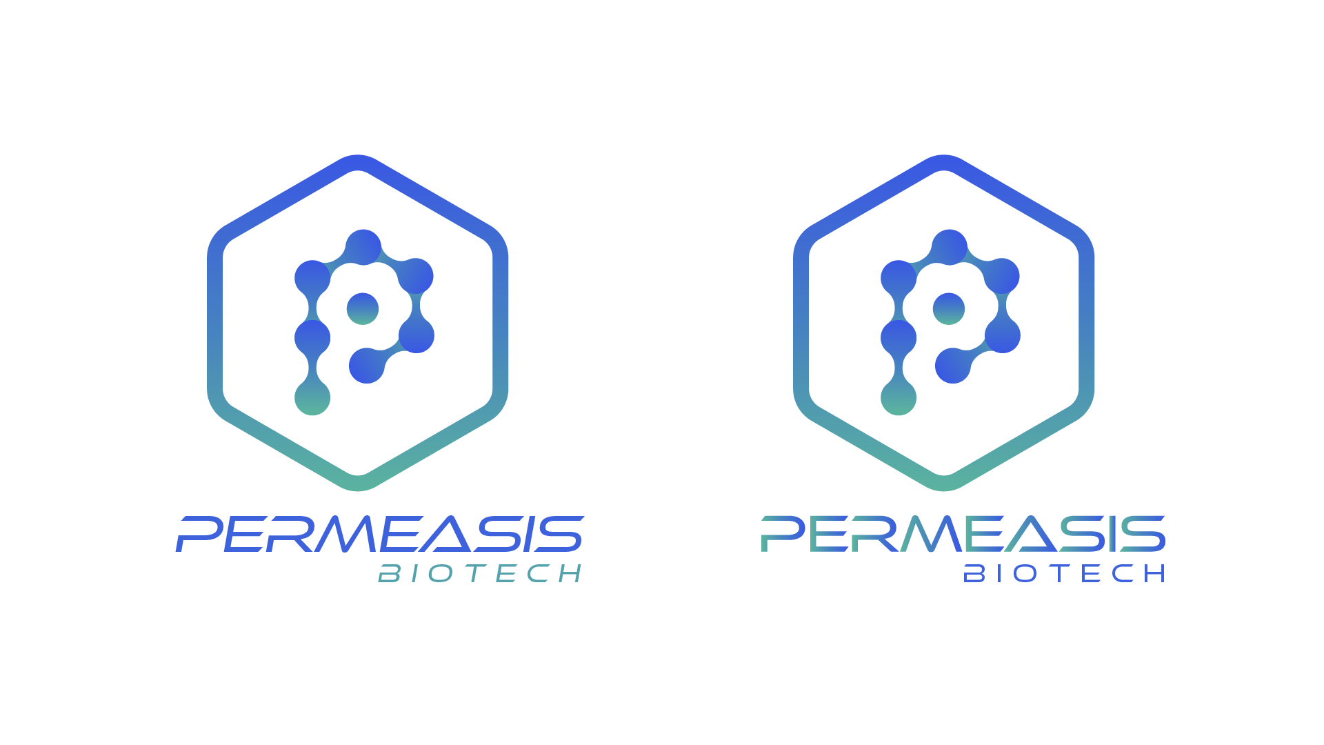 Logo Design by Designer39 for this project | Design #31099378