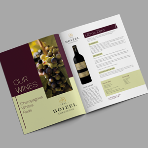 Flyer Design by Mediainfy for this project | Design: #31072578