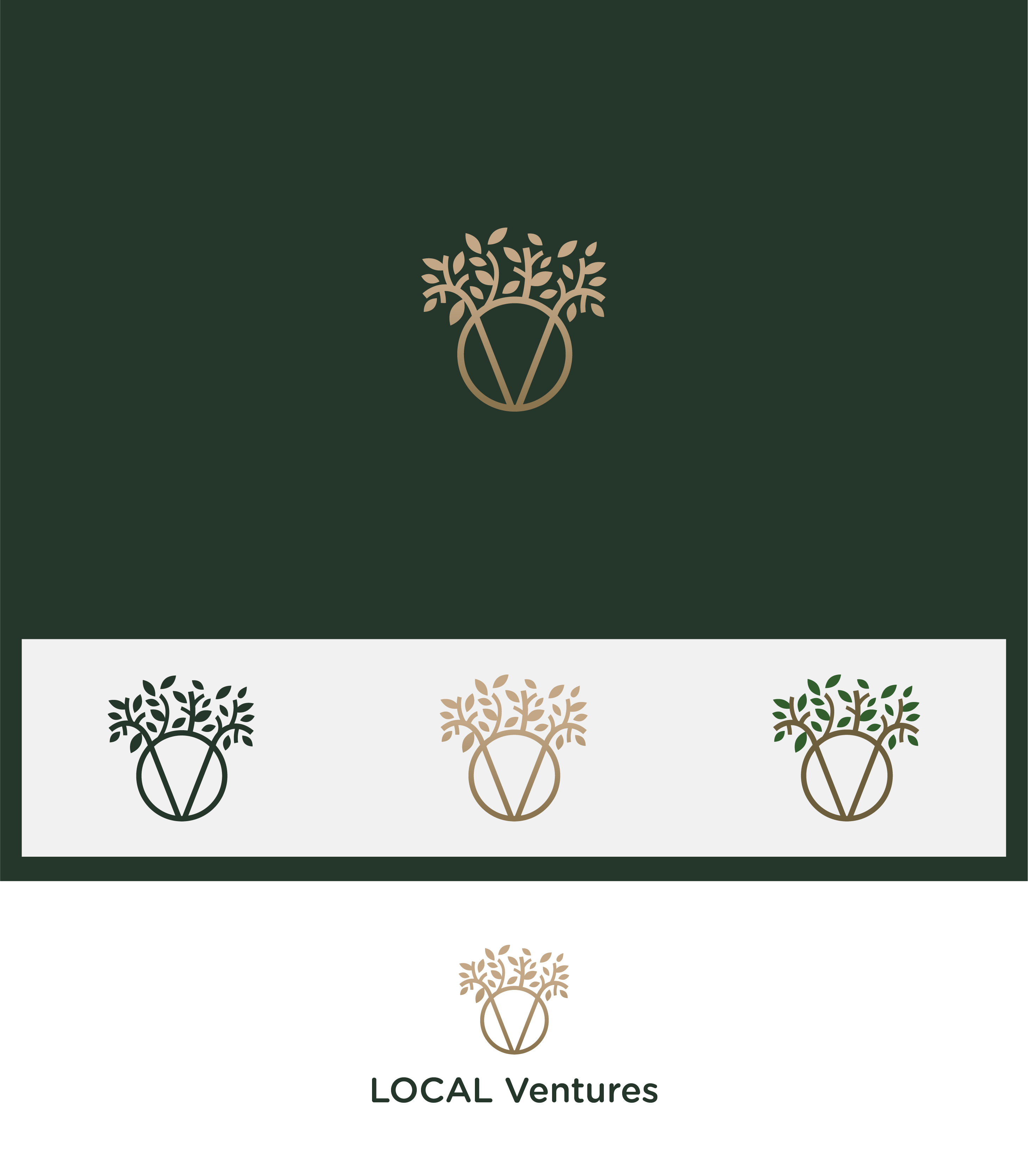 Diseño de Logo por Abu Baker para este proyecto | Diseño #31072587