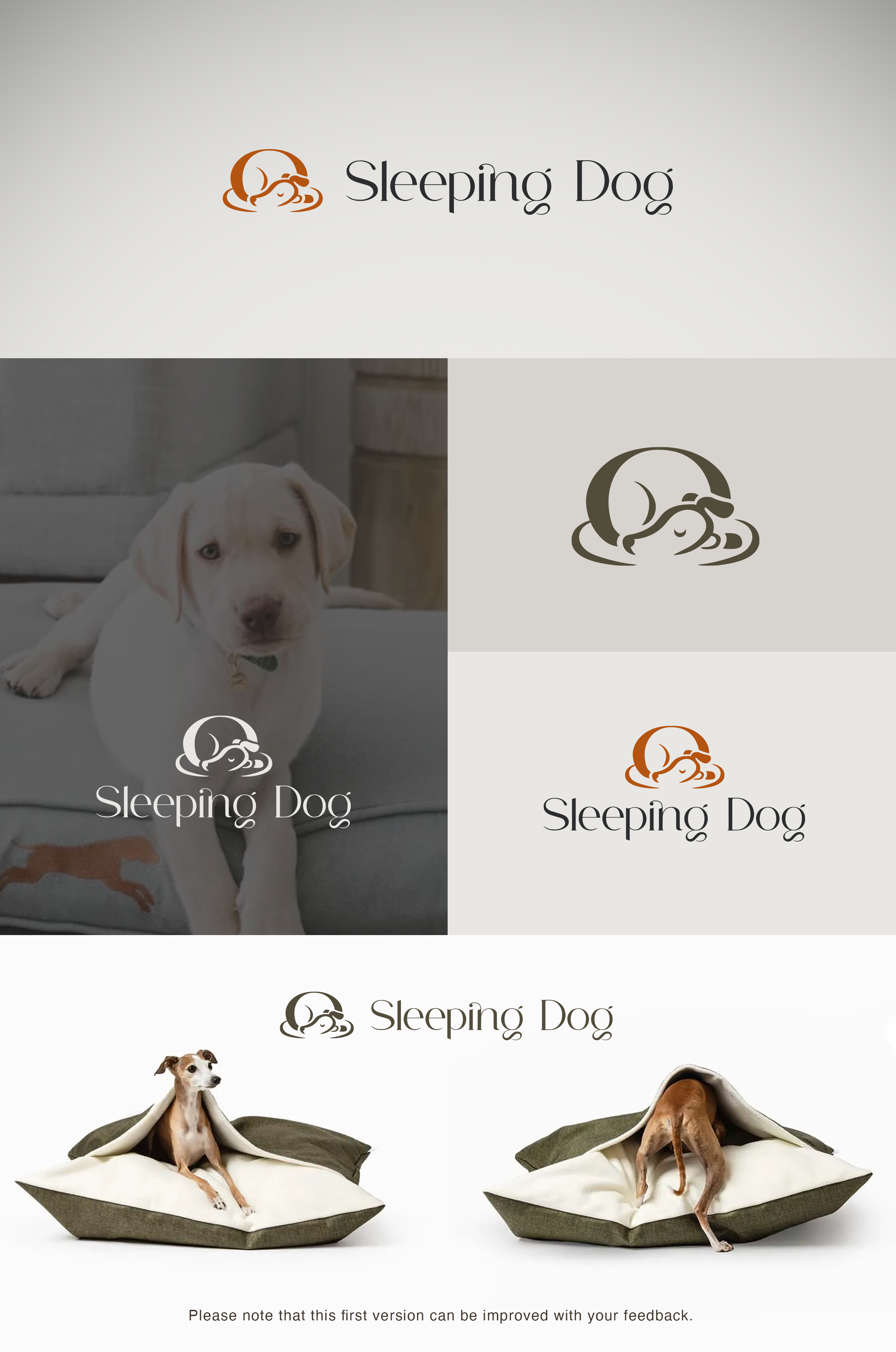 Logo Design by Frontino graphic studio for this project | Design #31076009