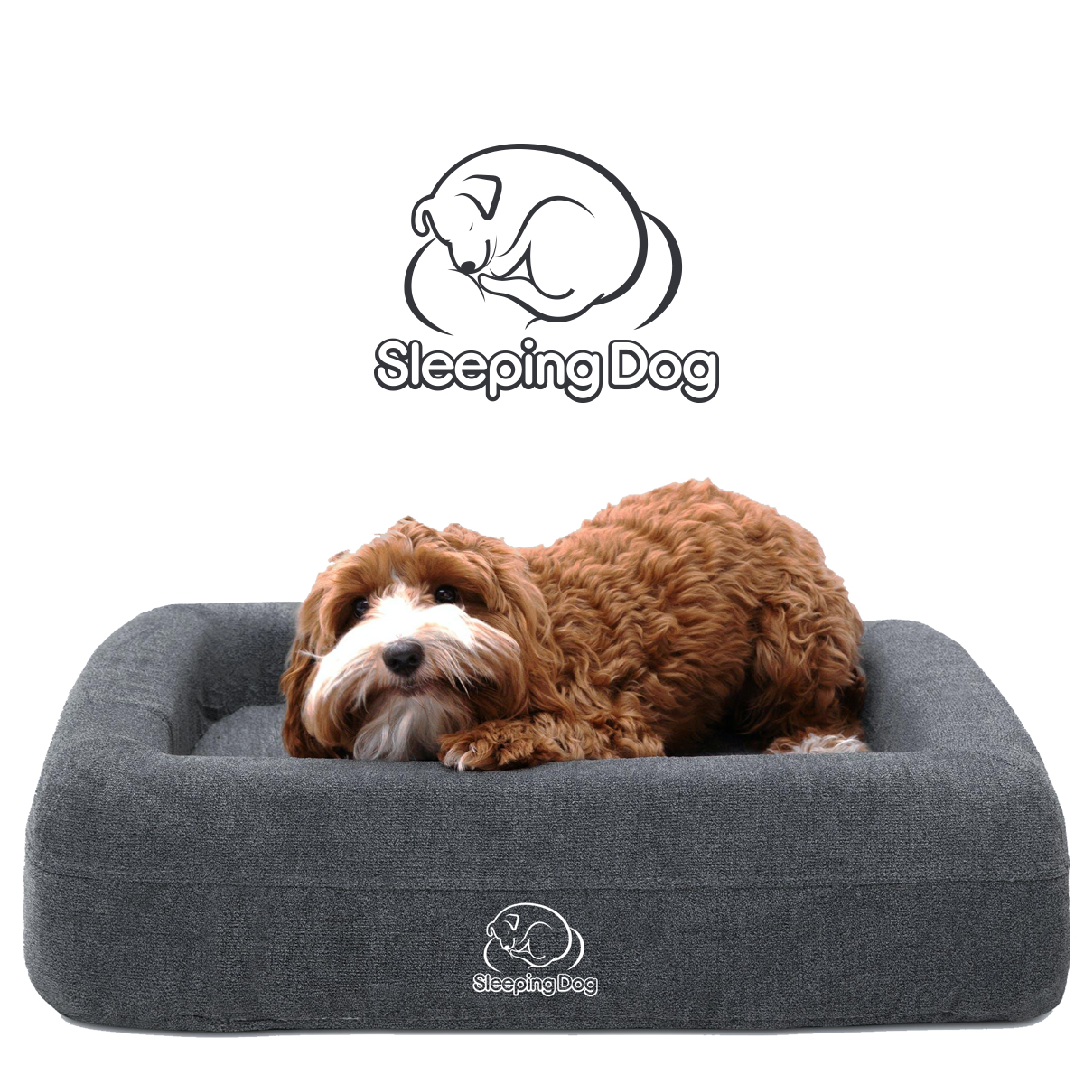 Logo Design by DesignSNW for this project | Design #31069323