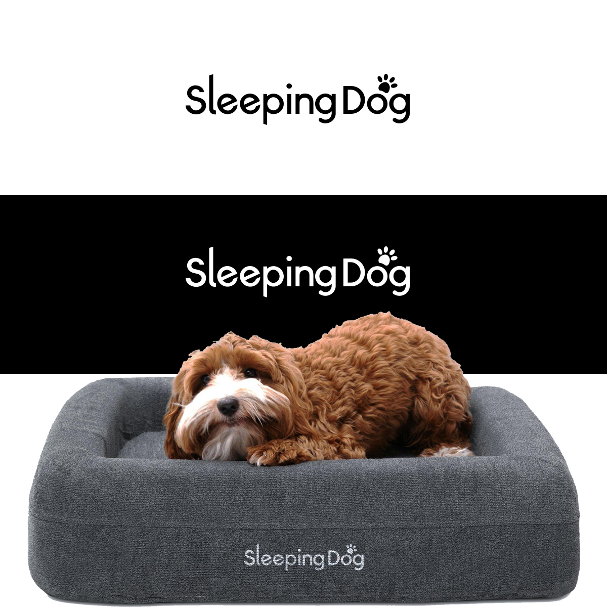 Logo Design by DesignSNW for this project | Design #31069478