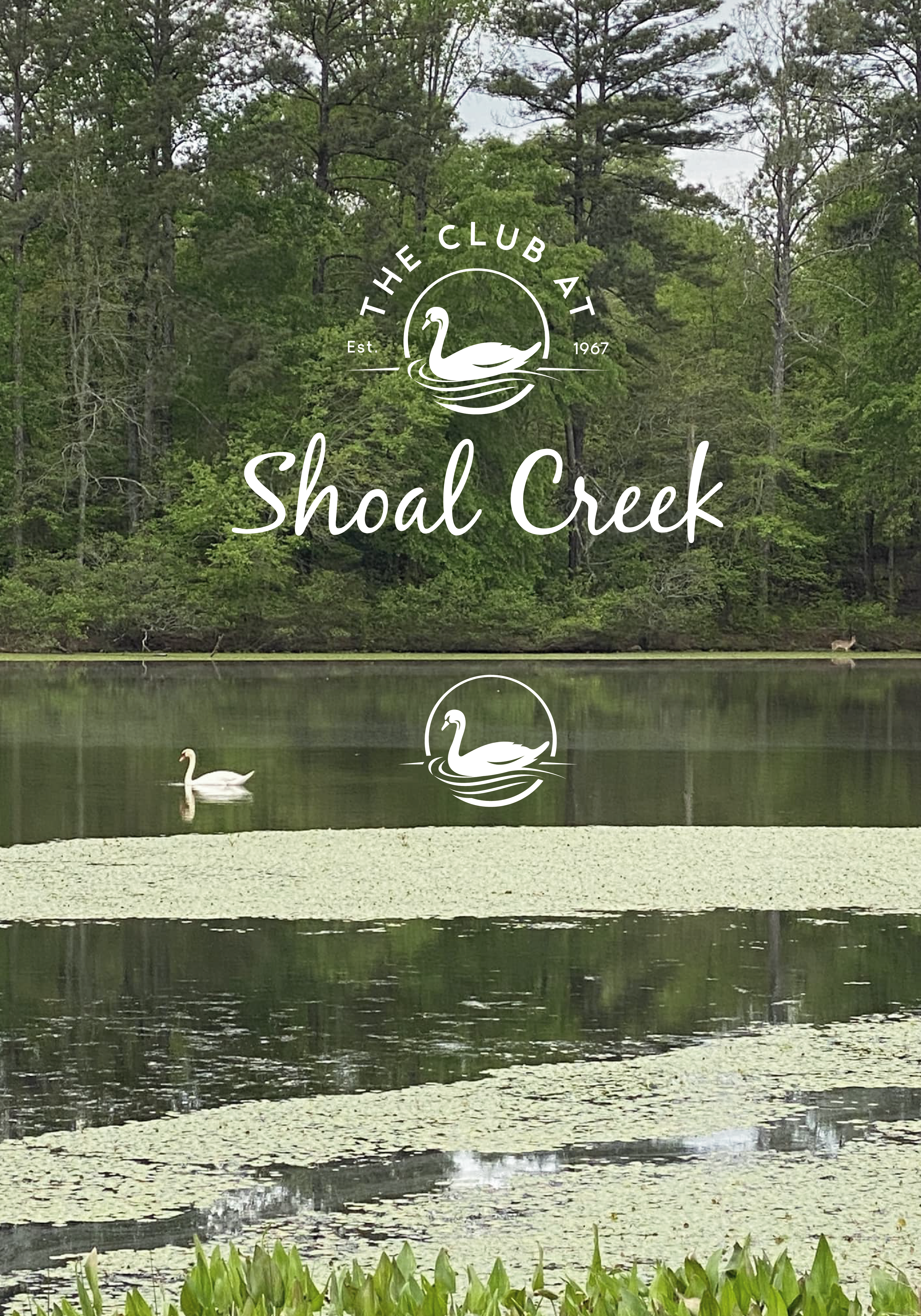 Logo Design by TDAC for this project | Design #31642597